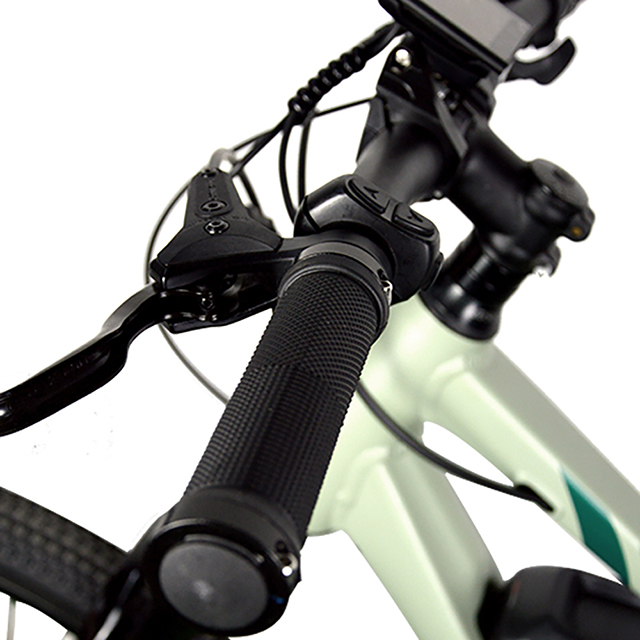 2022 EUROBIKE 24'' MINI MTB