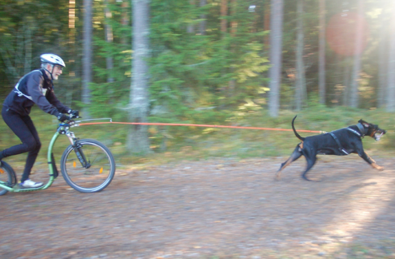 Cross V the FOOTBIKE -Cybic Intelligent Technology (Tianjin) Co., Ltd.